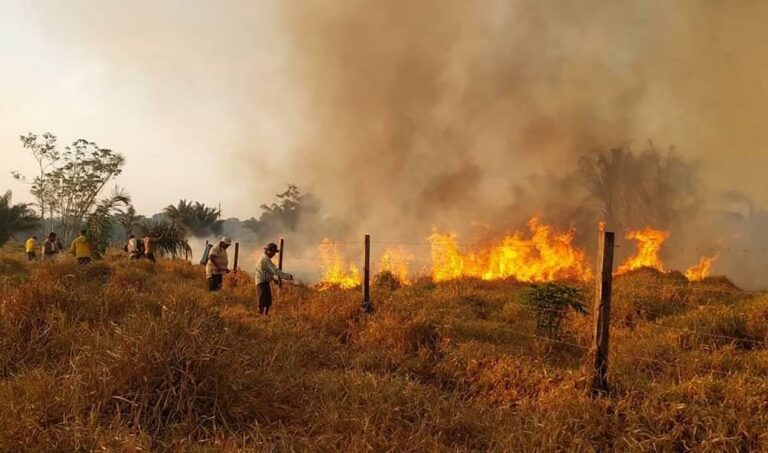 حرائق غابات أستراليا تخلف قتيلاً وتدمر عشرات المنازل