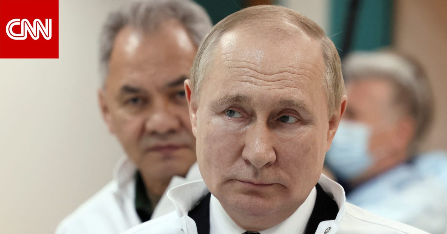 البرادعي يقدم مقترحا للعرب مع بوتين بضوء أزمة تصدير حبوب من أوكرانيا