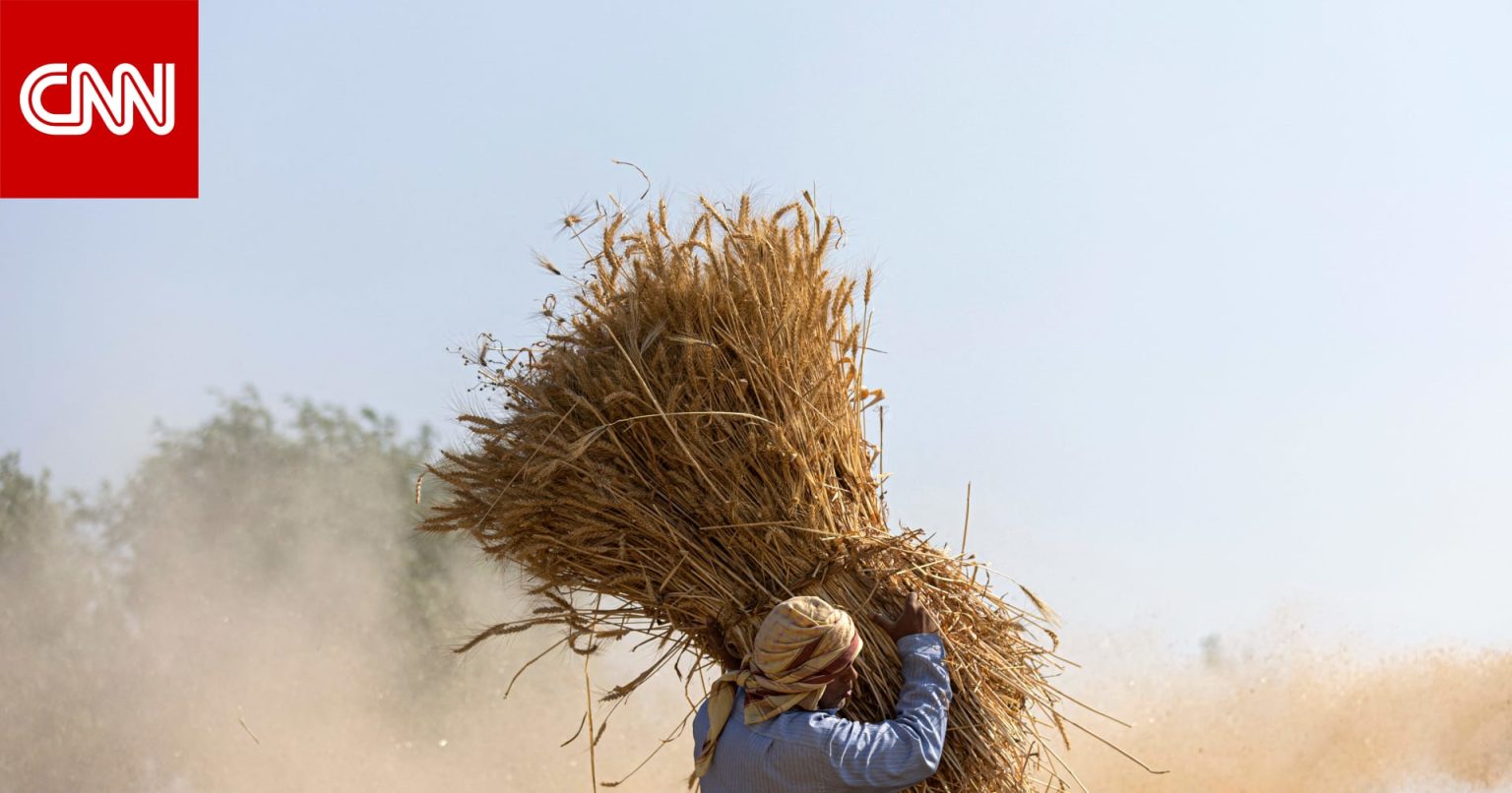 وزير التموين المصري لـCNN: طلبنا استيراد 180 ألف طن قمح من الهند.. وندرس مبادلة الصادرات