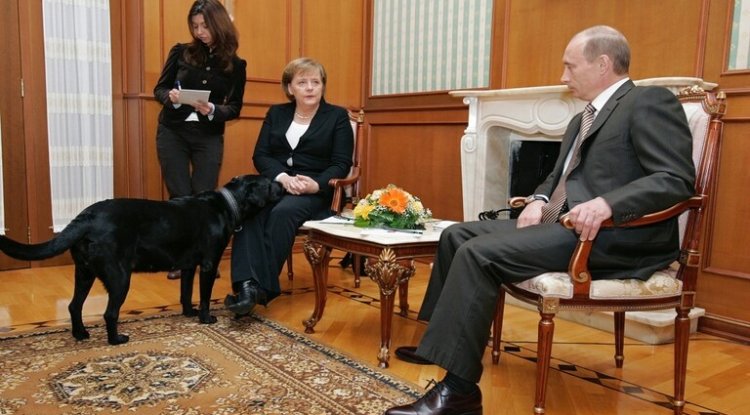 ميركل تكشف عما جرى لها بعد حادثة الكلبة كوني خلال لقائها مع بوتين