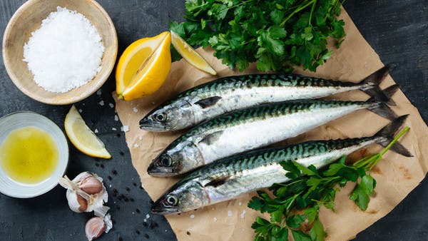 خبير تغذية روسي: تناول الأسماك لتقضي على الإجهاد