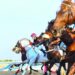 مهرجان ليوا يدشّن سباق الخيول العربية الجمعة