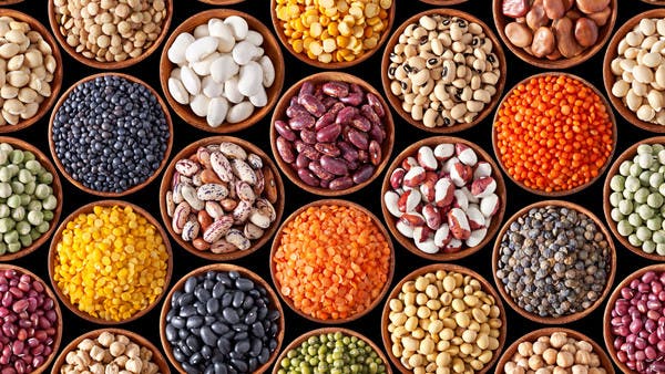 6 خيارات نباتية غنية بالبروتين تناسب رمضان