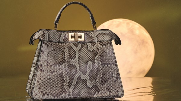 رموز Fendi بإصدار احتفالي