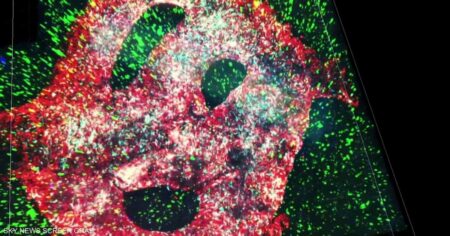 العيش لما بعد الـ120 عاما.. خيال أم حقيقة؟