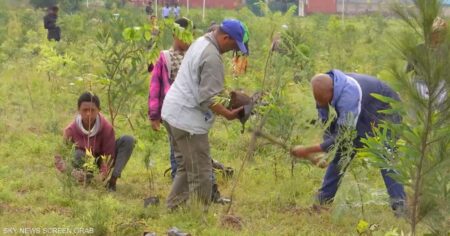 "البصمة الخضراء" في إثيوبيا.. مشروع لزراعة 50 مليار شتلة