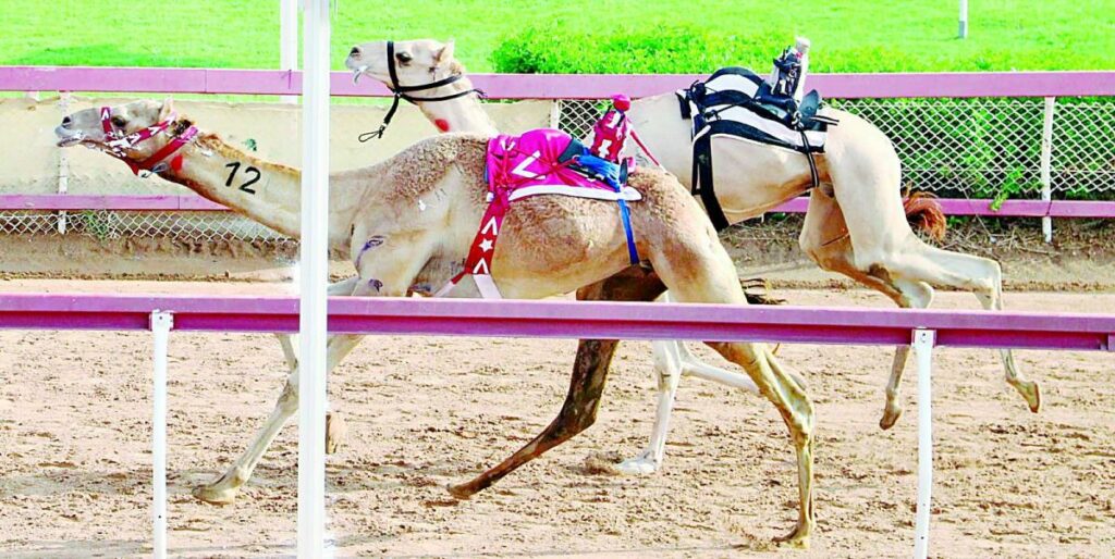 «ثمينة» تحصد أفضل توقيت في منافسات الثنايا بميدان الذيد