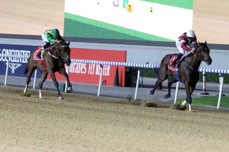 صراع مثير ببطولة «دبي كريك مايل» في ميدان