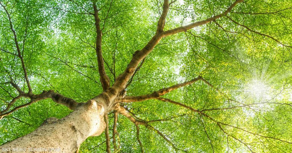 خسائر "خيالية".. اقتصاد العالم سيتجنبها بحماية الطبيعة