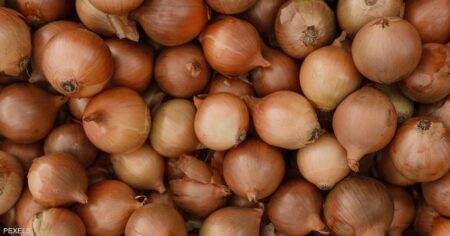 لماذا يواصل سعر البصل الارتفاع بمصر رغم حظر تصديره؟