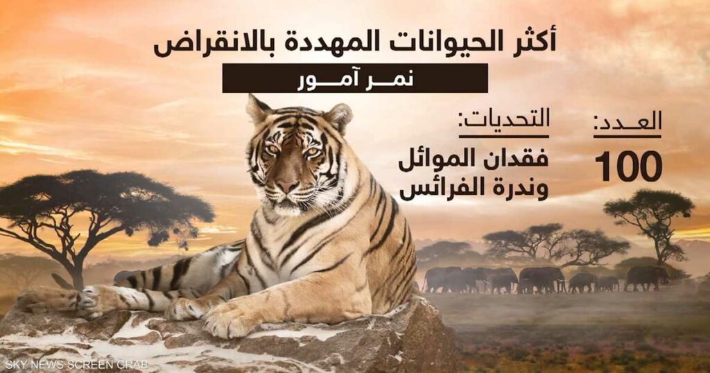 حيوانات مهددة بالانقراض.. والسبب التغيرات المناخية القاسية