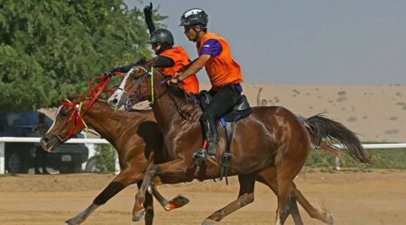 إلغاء «سقف المشاركة» في سباق التسعيرة للقدرة