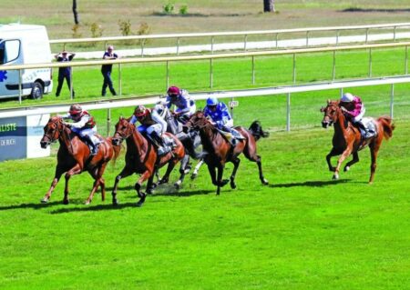 3 سباقات بكأس مهرجان منصور بن زايد في فرنسا