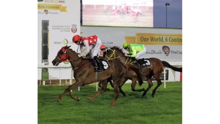 14 خيلاً في كأس رئيس الدولة بمضمار أبوظبي
