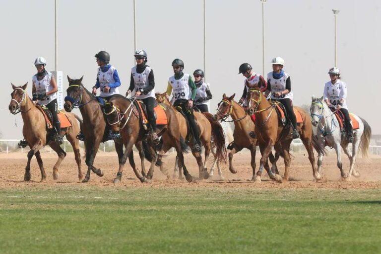 كأس محمد بن راشد يختتم مهرجان القدرة اليوم
