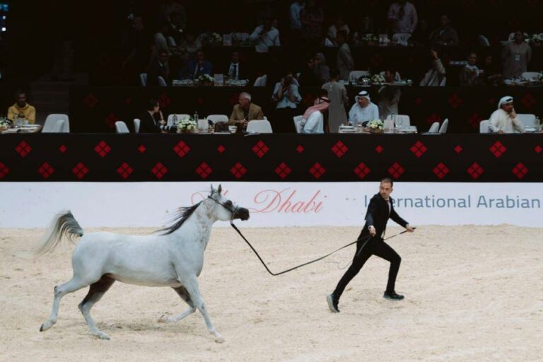 خيول الإمارات تواصل تألقها في دولية أبوظبي.. و«ع ج كية» تحقق أعلى معدل