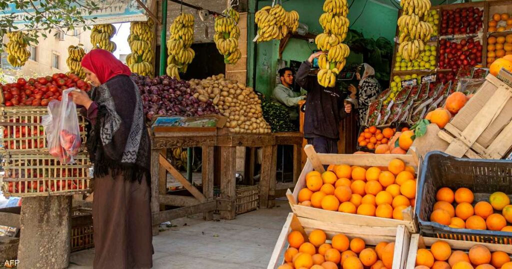 1.5 مليار دولار صادرات مصر الزراعية في الربع الأول من 2024