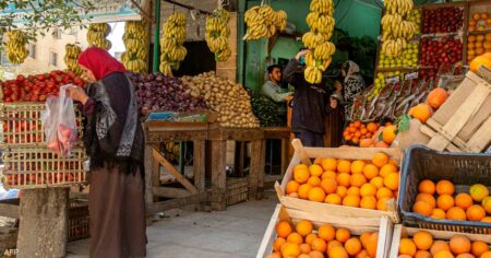 1.5 مليار دولار صادرات مصر الزراعية في الربع الأول من 2024