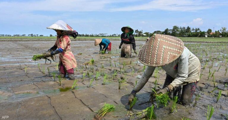 خسائر بـ3 مليارات دولار.. مخاوف من ارتفاع مياه البحر بفيتنام