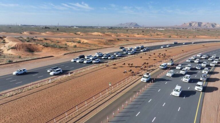 بمكرمة سلطان..الشارقة لسباقات الهجن وقناة الوسطى يثمنان إضافة الجذاع للمنافسات