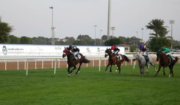10 خيول تتنافس في ثانية جولات التاج الثلاثي العربي