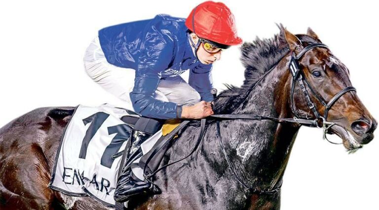 الأمسية الأخيرة لكرنفال سباقات دبي تخطف الأضواء