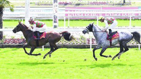 «مراد ياس» يواجه التحدي في كأس الوثبة بتولوز