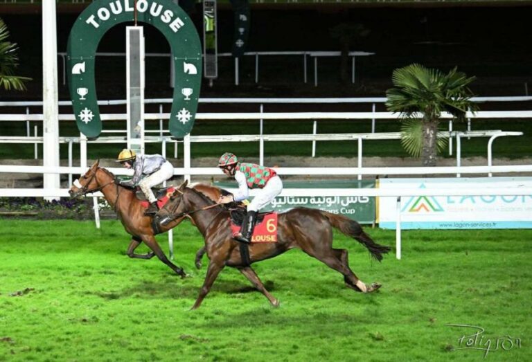 «شباب» بطل كأس الوثبة في تولوز