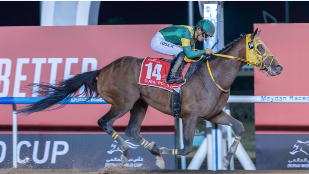 غداً.. قرعة 5 أشواط في كأس دبي العالمي