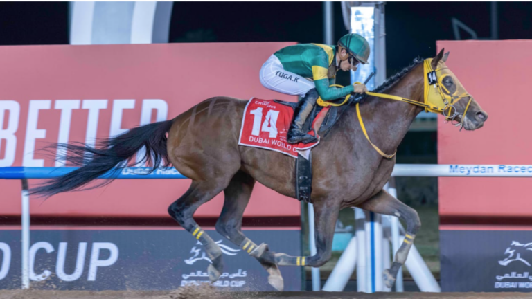 غداً.. قرعة 5 أشواط في كأس دبي العالمي