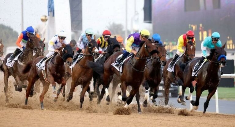 «فوريفر يانج»يسعى لتأكيد تفوق اليابان في داربي الإمارات