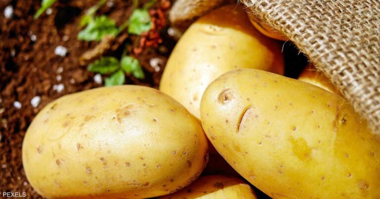 يهدد الأمن الغذائي.. كيف ستواجه أوروبا نقص إنتاج البطاطس؟