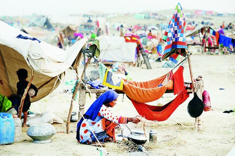 اشتراكية نصف الأرض