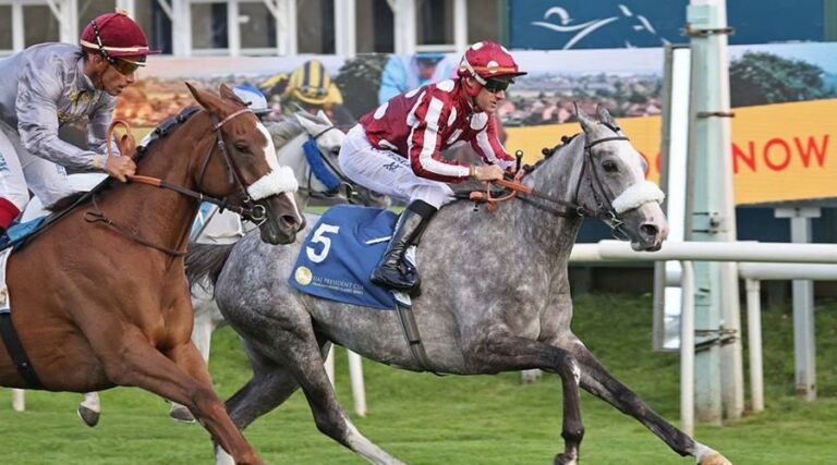 إطلاق أجندة سباقات النسخة الـ31 لكأس رئيس الدولة للخيول العربية