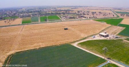 العراق يستأنف زراعة الأرز بعد حظر لعامين بسبب ندرة المياه