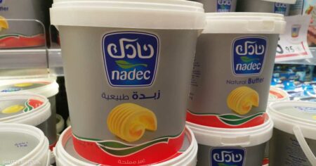 أرباح "نادك" السعودية ترتفع بنحو 72% في الربع الثاني من 2024