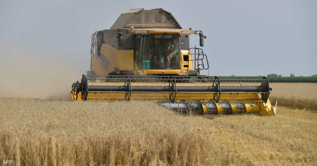 مصر تتفاوض على شراء كميات قمح كبيرة من مناشئ منها روسيا