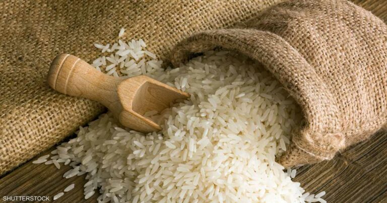 الفلبين تتوقع حصاداً تاريخياً من الأرز هذا العام