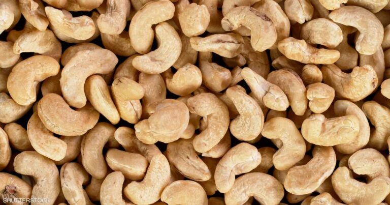 أكبر دولة منتجة للكاجو ترفع سعر شرائه من المزارعين 55 بالمئة