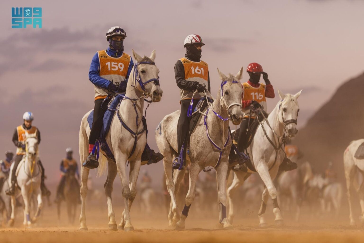 محافظة العُلا تستعد لبطولة كأس الفرسان للقدرة والتحمل 2025 بمشاركة 320 فارسًا