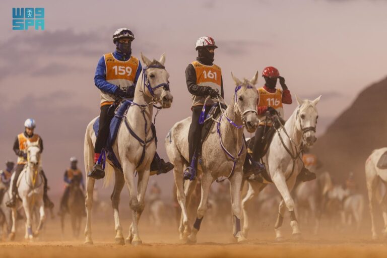 محافظة العُلا تستعد لبطولة كأس الفرسان للقدرة والتحمل 2025 بمشاركة 320 فارسًا