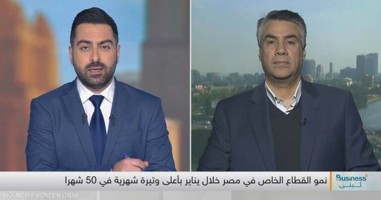 الشهيدي: السوق المصري بدأ يشهد عودة المواد الأساسية للإنتاج