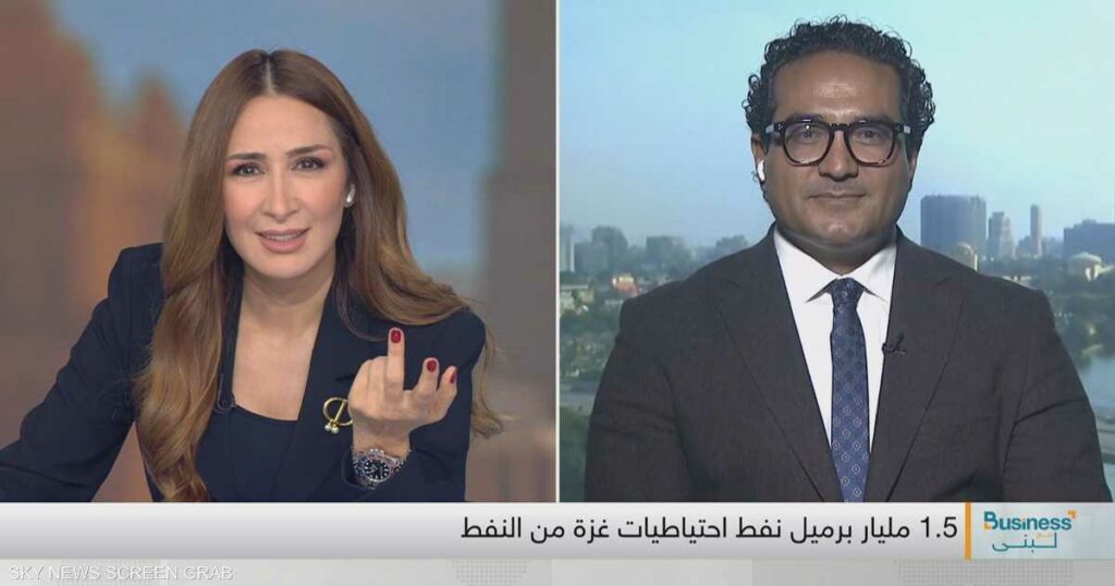 استشاري أممي: خطط ترامب لتهجير الفلسطينيين غير منطقية