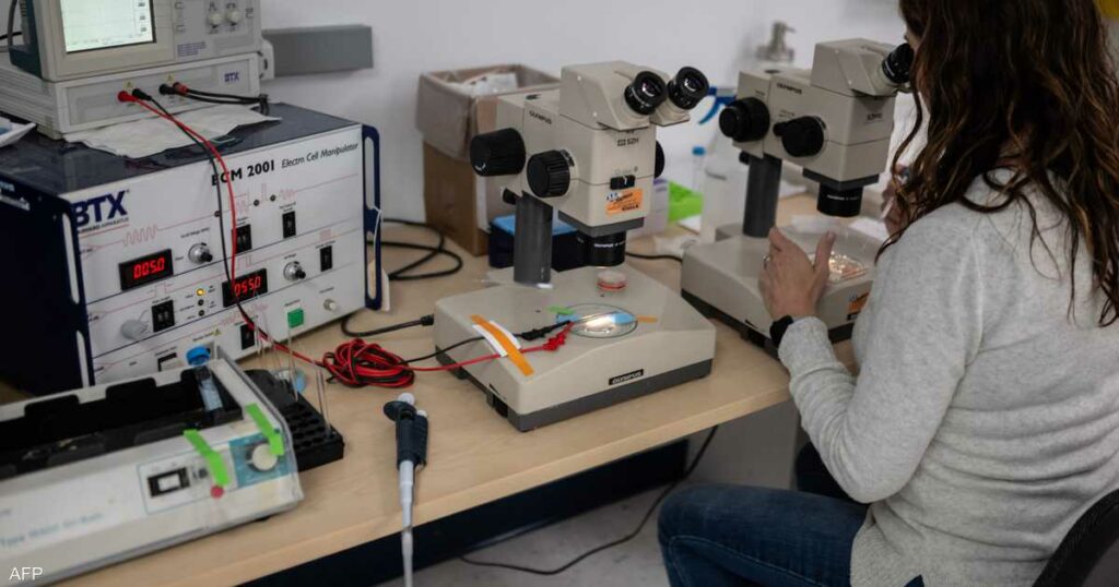 دراسة: الحمض النووي هدف "ثمين" للقرصنة الإلكترونية