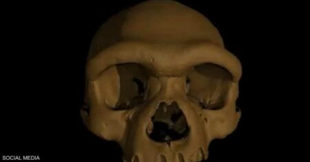 جمجمة مشوهة للإنسان القديم تثير ذهول الخبراء