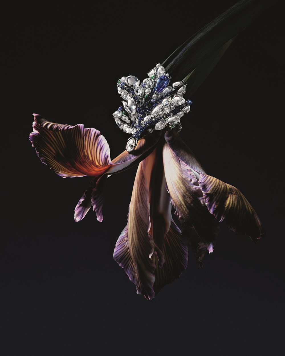 فنٌّ ترتديه عاشقات المجوهرات وهاويات الجمع