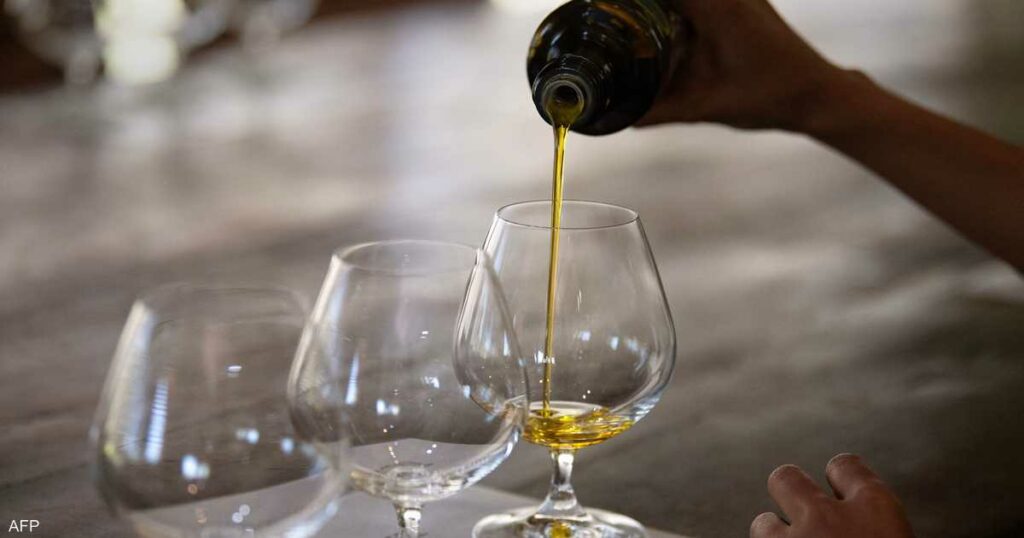 لماذا ينصح الأطباء بزيت الزيتون يوميا؟