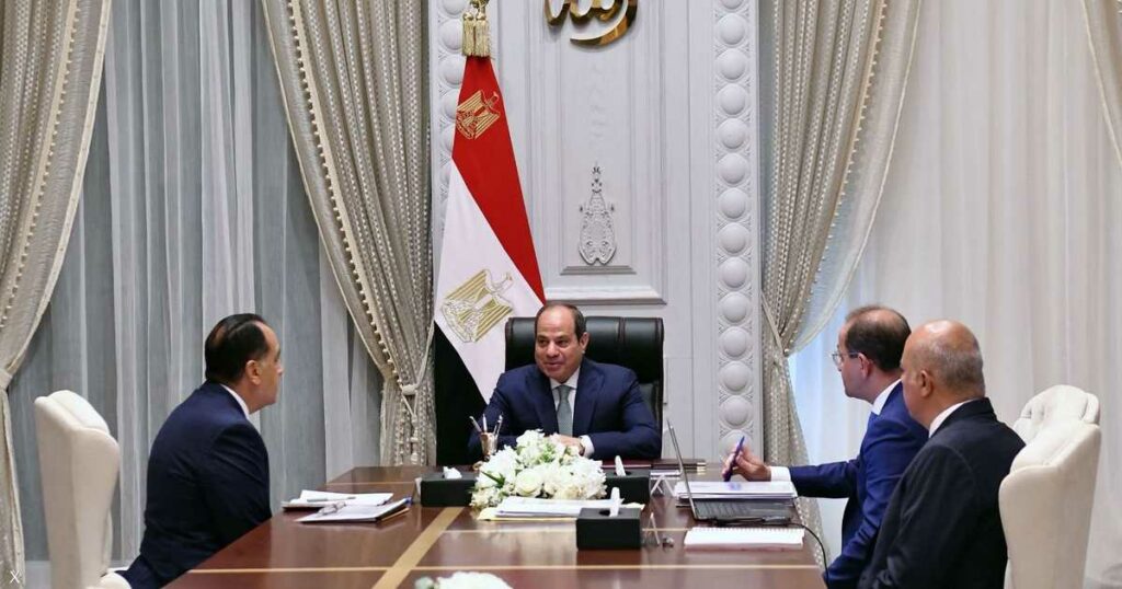 بسبب التصعيد في المنطقة.. السيسي يوجه باتحاذ احتياطات مالية