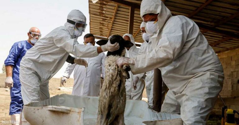 30 وفاة في العراق منذ بداية العام.. مرض ليس له لقاح