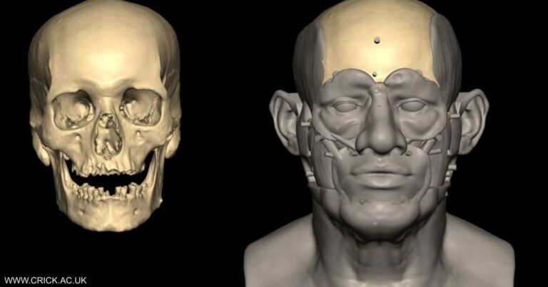 تحليل جينوم مصري عمره آلاف السنين يكشف معلومات مثيرة